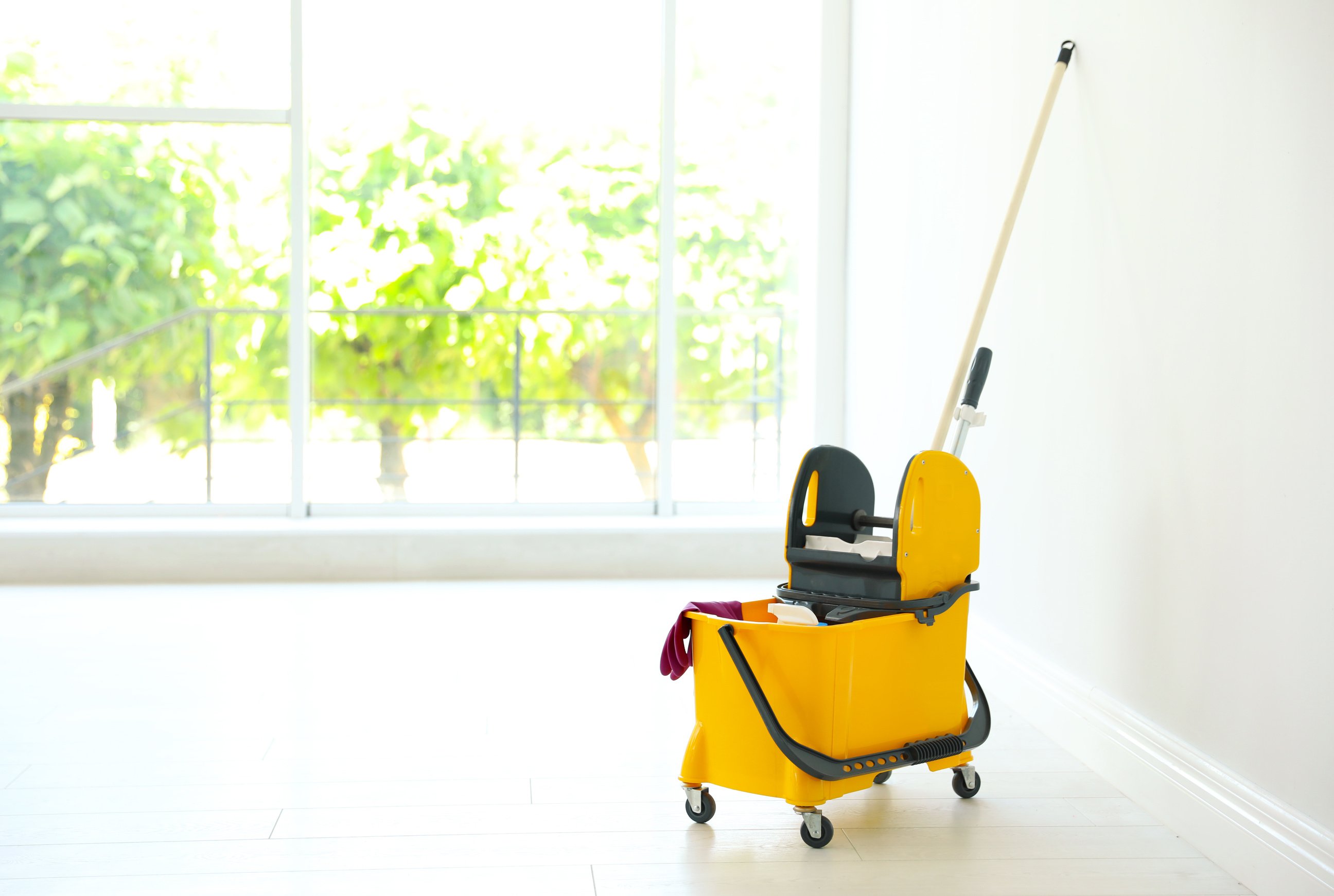 Mop Bucket with Cleaning Supplies, Indoors